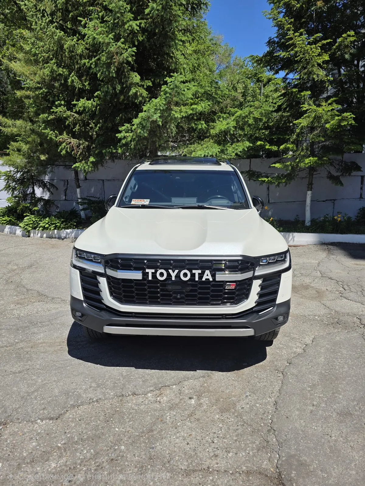 Toyota Land Cruiser 300 — фото 14